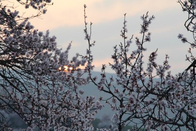 漫天飘飘洒洒的杏花落是什么歌