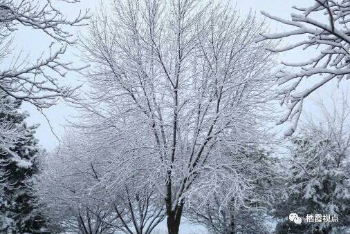 飘雪的冬天是什么歌