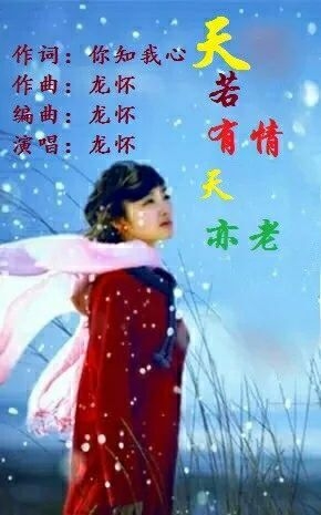 天若有情天亦老是什么歌