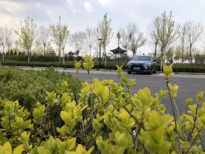 花开山岗红艳艳绿水青山是什么歌