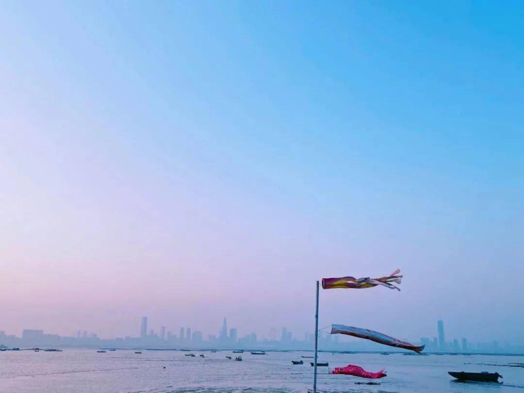 在心碎中认清遗憾生命是什么歌