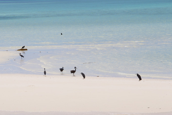 念念不舍又念念不忘是什么歌