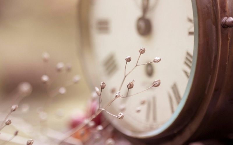 而我在颠沛中,已饱经沧桑是什么歌