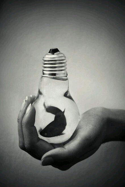 念你的心好疼是什么歌名