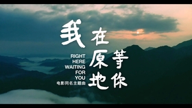 空徘徊等待等待再等待什么歌曲