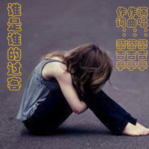 谁是谁的过客是什么歌