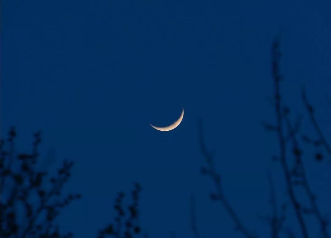 在夜深人静的时候想起他是什么歌