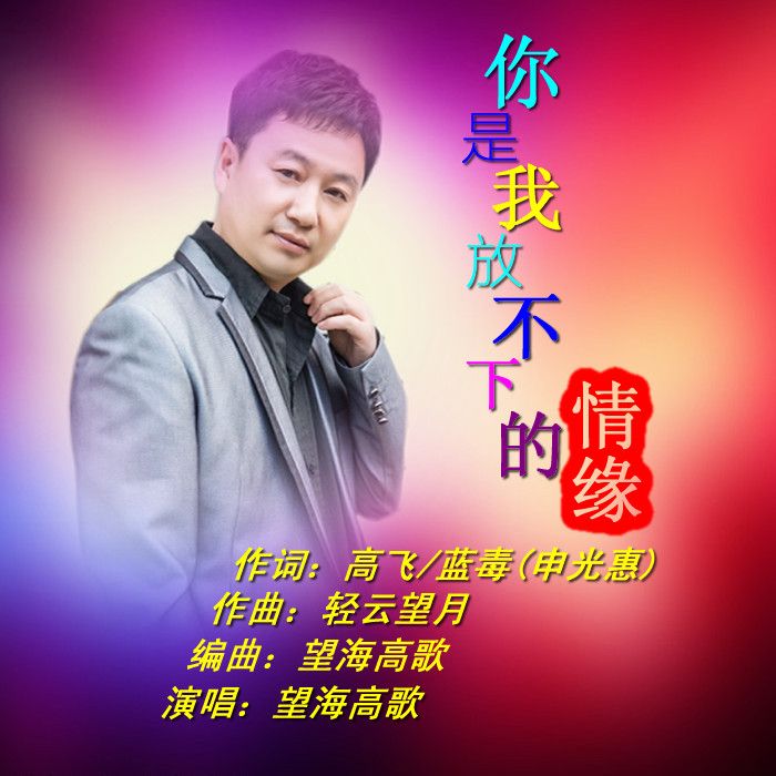 你是我放不下的情缘是什么歌