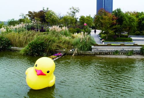 水面上有只小黄鸭是什么歌
