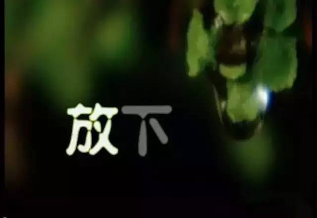 举起放下的酒啊什么歌