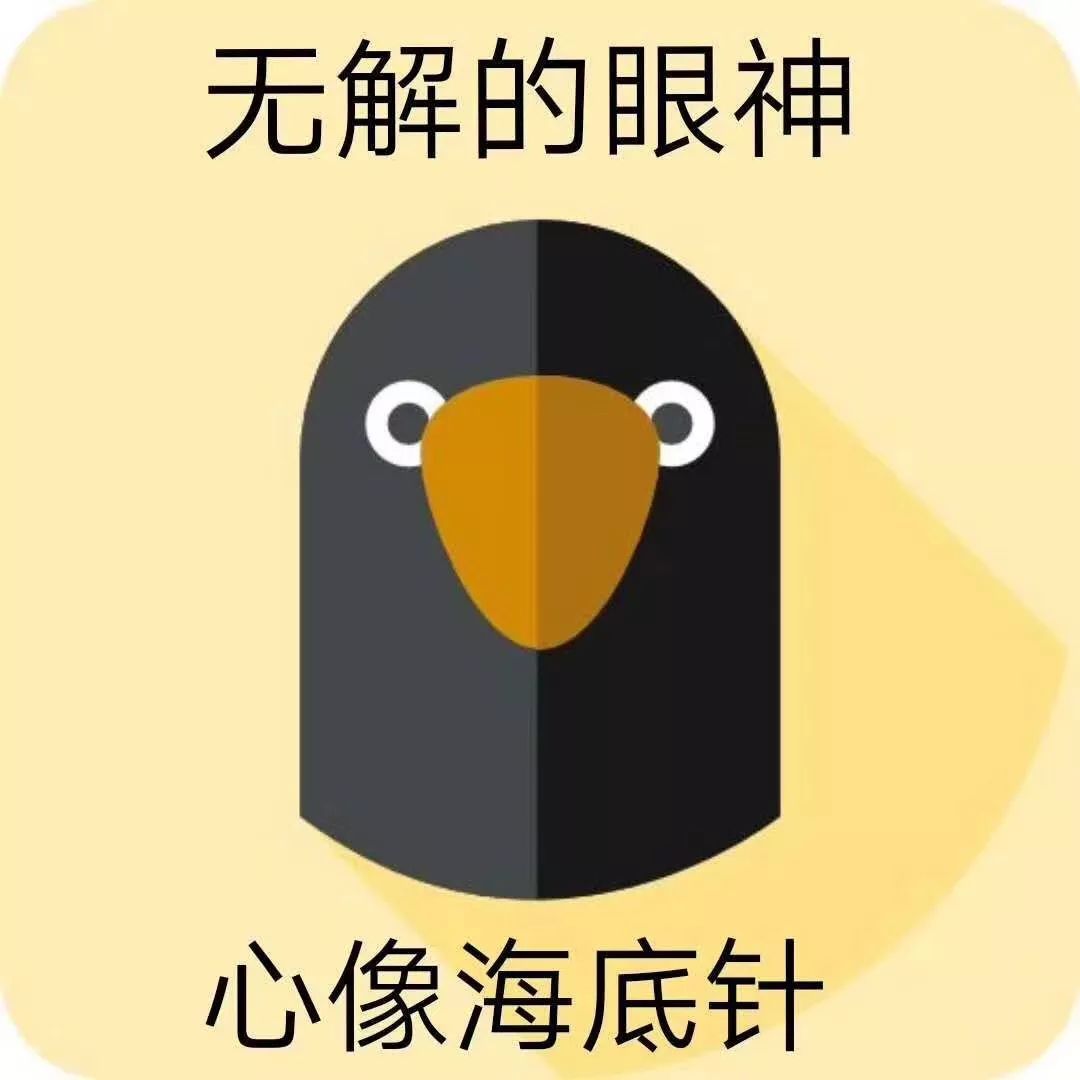 无解的眼神心像海底针是什么歌