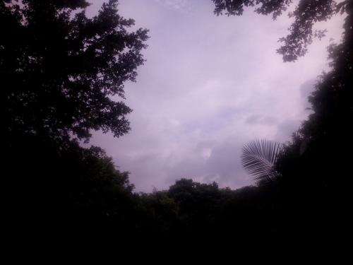 苍天对你在呼唤是什么歌