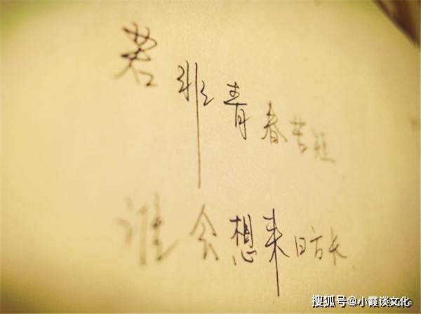 一边遗忘一边拼凑是什么歌