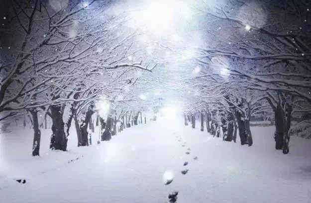 却把我幸福埋葬是什么歌