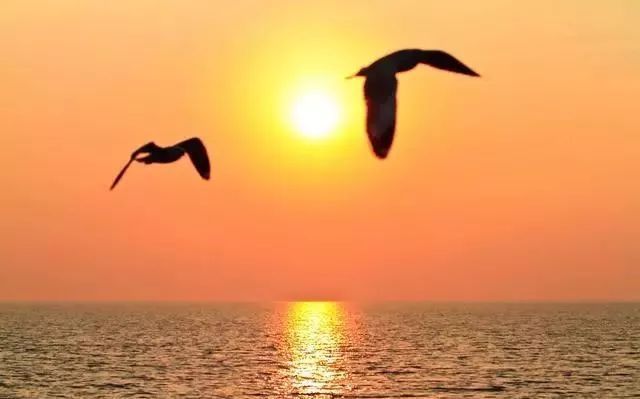 付出了全部青春已荒芜什么歌