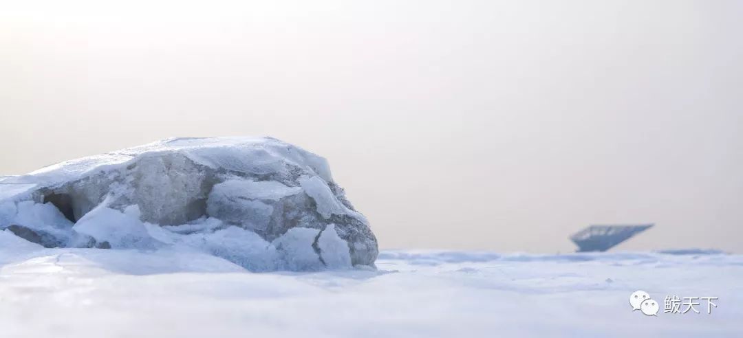 我一路走过千山万水是什么歌