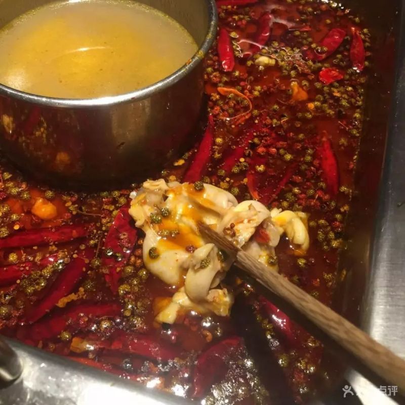 哇哈哈哈哈哈这是什么歌