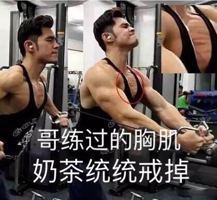 哥练的胸肌给你靠什么歌