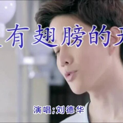 没有失落的爱情是什么歌