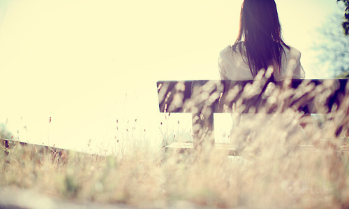 我的固执很善良什么歌