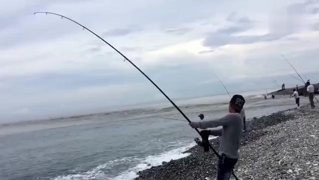 安静的等待着鱼儿上钩是什么歌