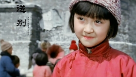 爱恨成败里赢过也输过是什么歌