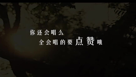 任你消失在世界的尽头是什么歌