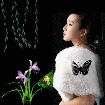 好想抱抱你是什么歌