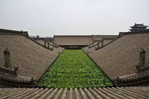 我站在屋顶是什么歌