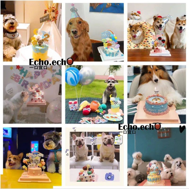 对所有的烦恼说拜拜是什么歌名