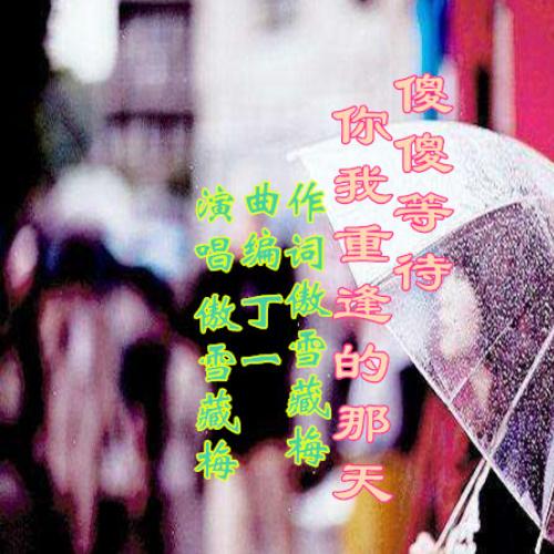 傻傻的等待是什么歌曲