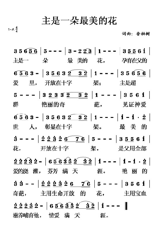 我是最美的一朵花是什么歌