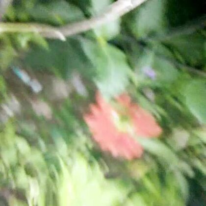 心里的苦能向谁诉说是什么歌