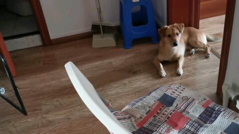 从来没有想过这样的结局是什么歌