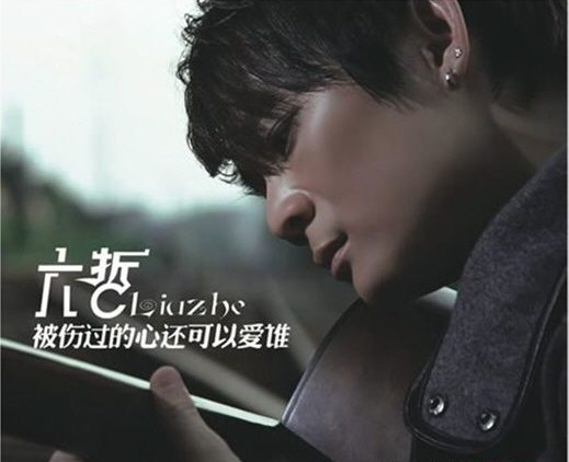 被伤过的心还可以爱谁是什么歌