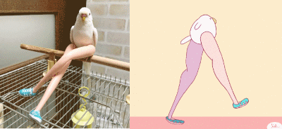 跟着我的节奏一起摇摆是什么歌