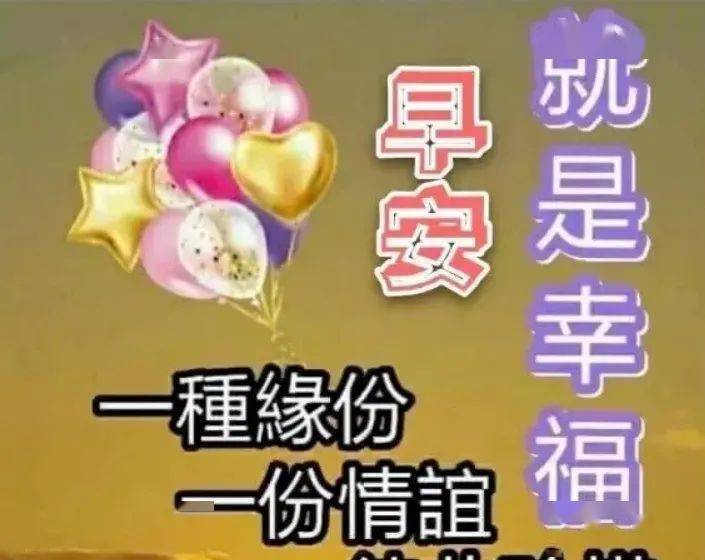 给我一声问候一点温情是什么歌