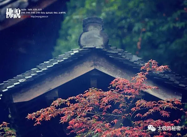 我跪求着问佛一切到底为什么歌