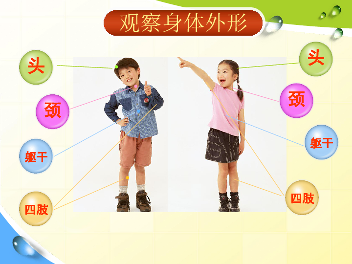 举起左手拍一拍是什么歌