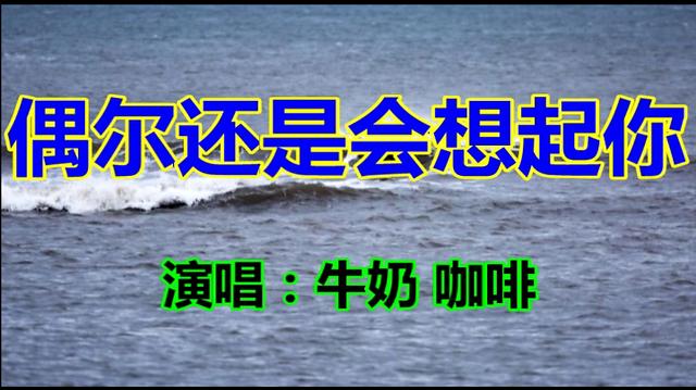 不懂珍惜此际是什么歌