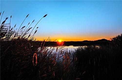 又有驼铃声声响起是什么歌