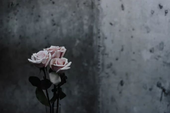 人这一生啊到底有多苦是什么歌