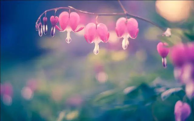 偏偏念你生生别离什么歌