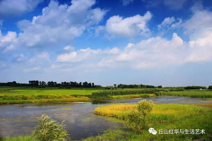 清清的河水流啊是什么歌
