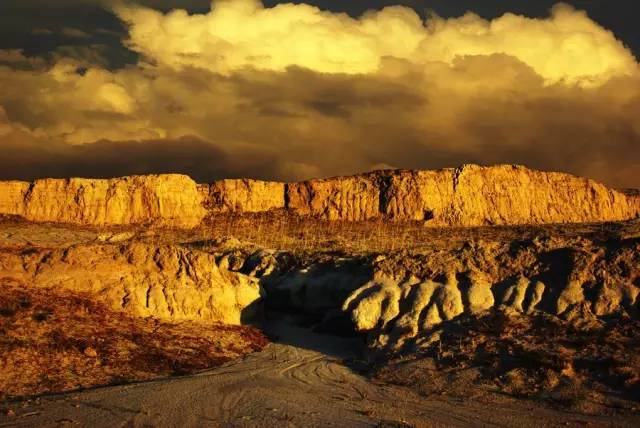 我抬头向青天是什么歌