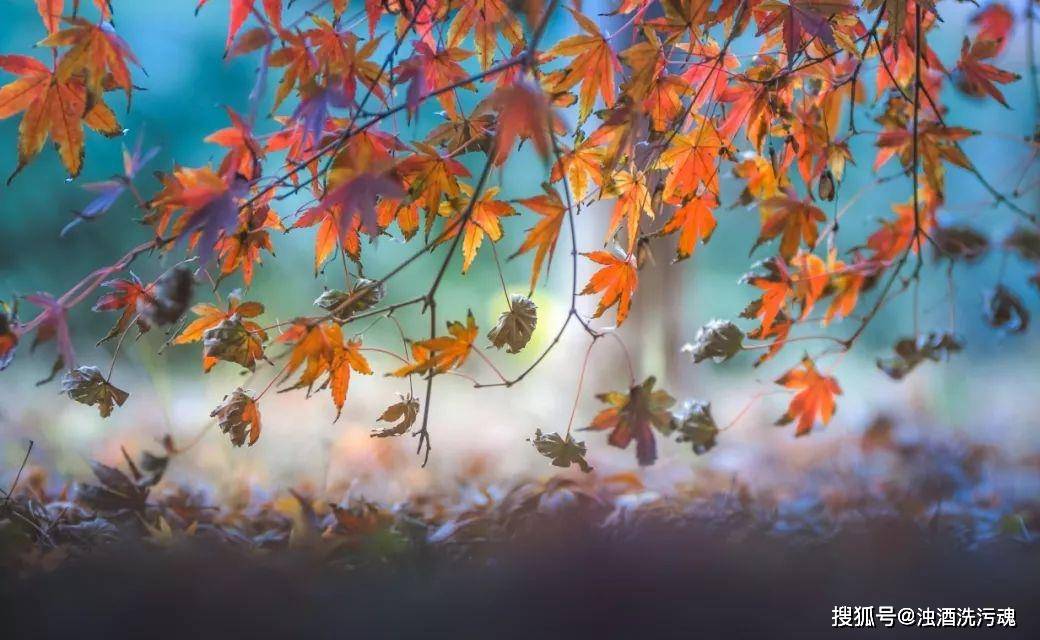 在夜深人静悲伤着是什么歌