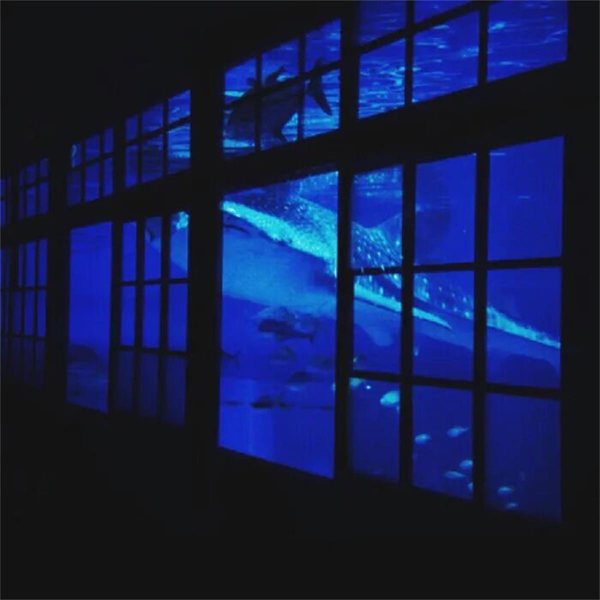 歌词奔波在南北西东是什么歌