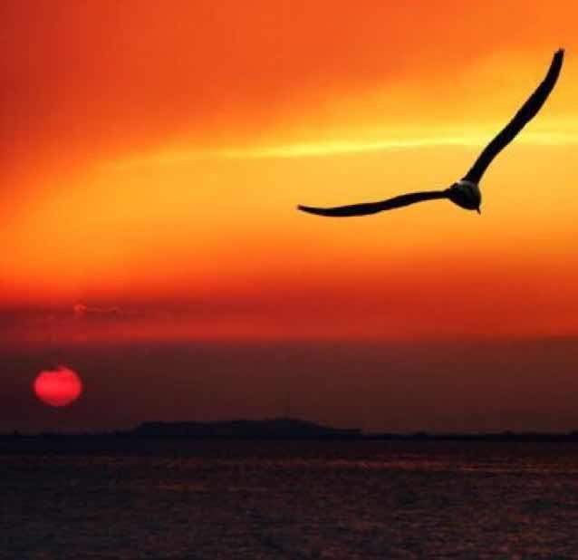 嘞哦嘞哦嘞哦嘞是什么歌