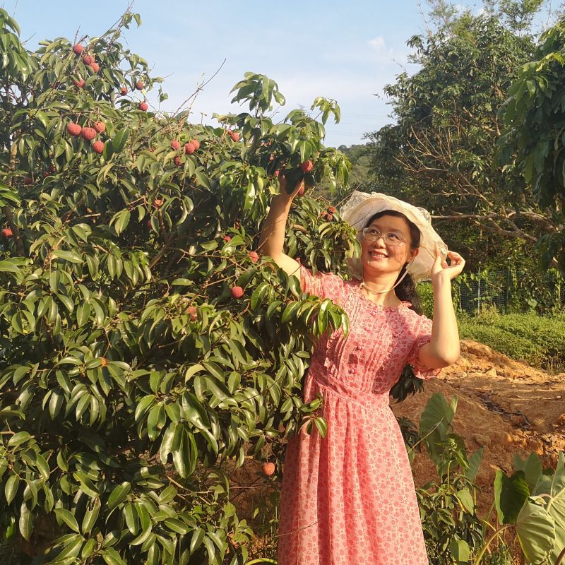 看着这落叶飘啊飘是什么歌