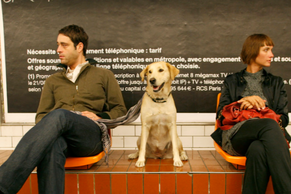 你对我忽冷忽热是什么歌